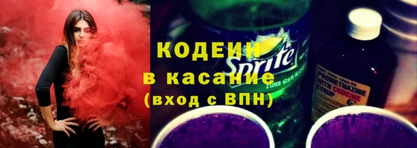 сатива Коряжма