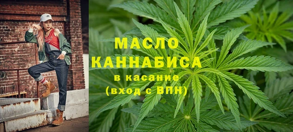 сатива Коряжма