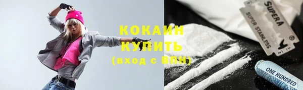 сатива Коряжма