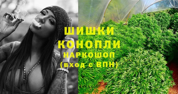 сатива Коряжма