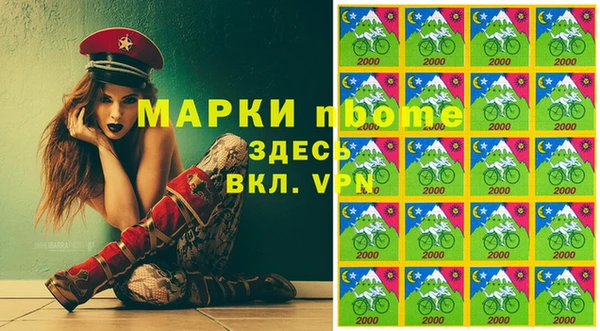 сатива Коряжма