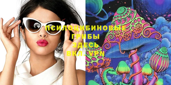 дмт Корсаков