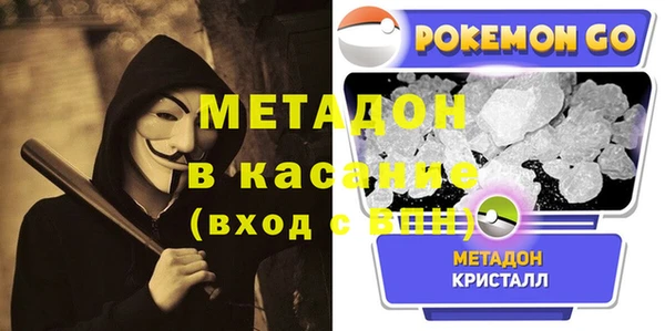 сатива Коряжма
