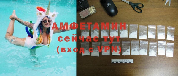 сатива Коряжма