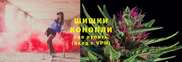 сатива Коряжма