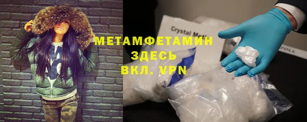 сатива Коряжма