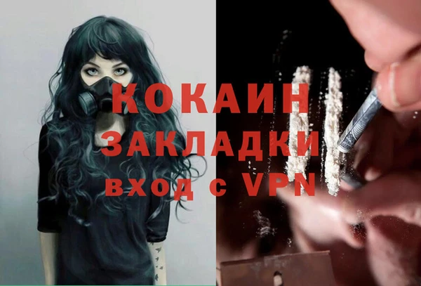 сатива Коряжма
