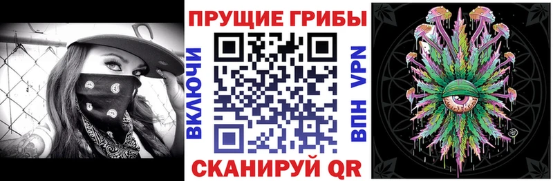 Галлюциногенные грибы Psilocybe  Купить закладки  Верхоянск 