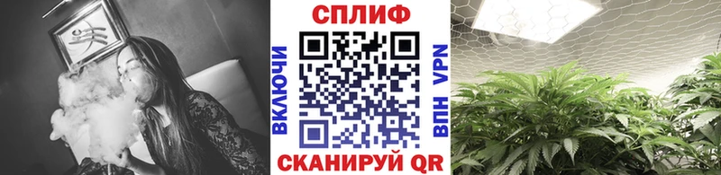 Купить закладки  Верхоянск  Конопля Amnesia 